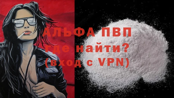 мяу мяу мука Лабытнанги
