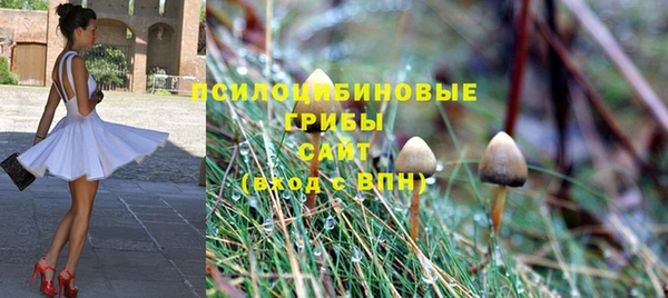 бутират Ладушкин