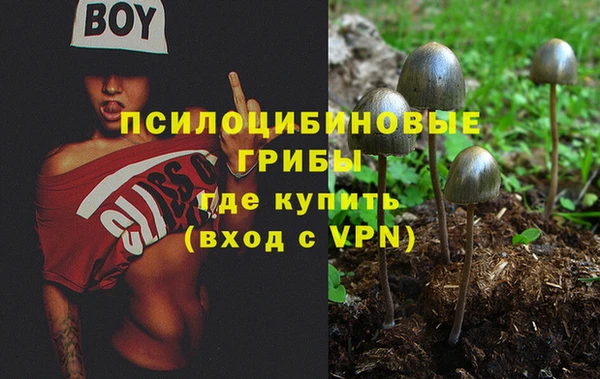 MESCALINE Лагань