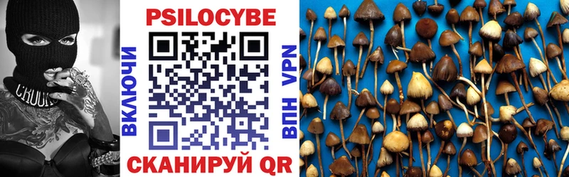 Псилоцибиновые грибы Magic Shrooms  Кочубеевское 